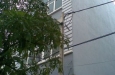 Front house for rent on Ha Huy Tap street, 5x20m, 4 stories, 5 beds, 750$.