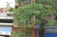Front house in 2-9 str, Hai Chau district, land area: 3,2x7m, 3 stories, 1 bedroom, 2 toilets, rental/month: 300$.